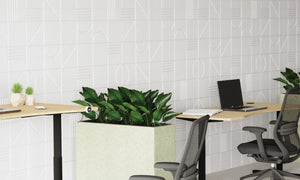Acoustic Wall Panel in White with Sit Stand Desks and Grey Mesh Back Chair