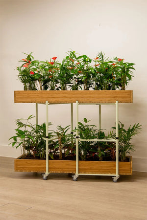 Bamboo Eco Friendly Planters 10