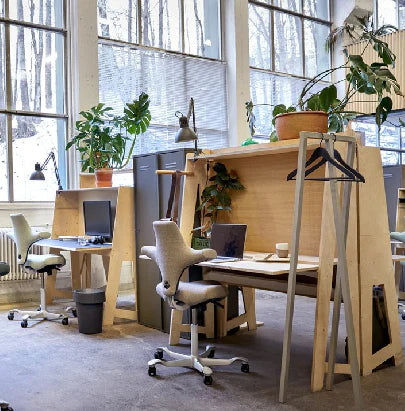 Acoustic Celing Lighting in Meeting Room