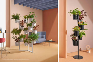 Hevea 5183 Space Partition with Pot Holders in Black with Grey Sofa with High Back and Black Square Coffee Table in Lounge Area