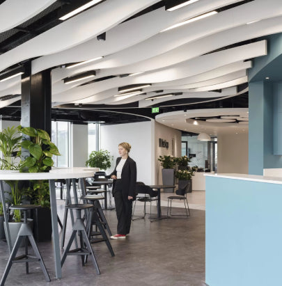 Acoustic Celing Lighting in Meeting Room