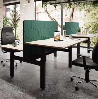 Acoustic Celing Lighting in Meeting Room