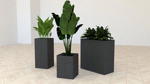 Koala Square Acoustic Planter in Dark Grey Finish in Different Sizes with Plants