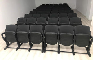 Maia Auditorium Seatin in Multifunctional Setting 3