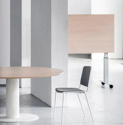 Acoustic Celing Lighting in Meeting Room