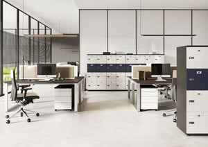 Wuteh Single Column Locker in Black and White Door Finish with Black Top Bench Desk and White and Black Pedestal