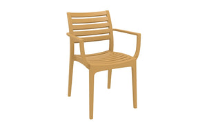 Artemis Armchair Teak