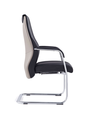 Mien Black and Mink Cantilever Chair Image 5