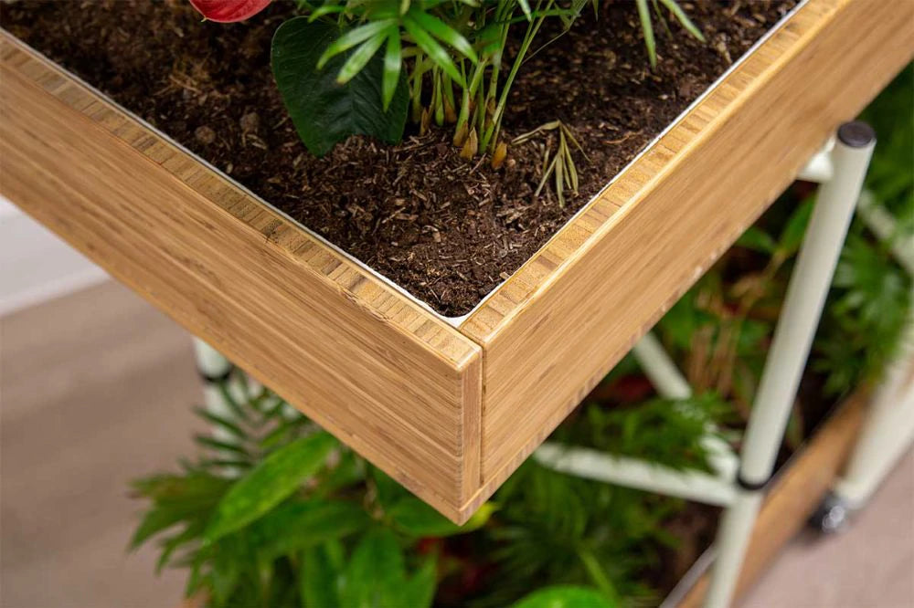 Bamboo Eco Friendly Planters 11