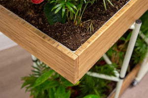 Bamboo Eco Friendly Planters 11