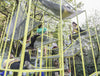 Buzzijungle Tower 5