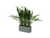 Buzziplanter 3