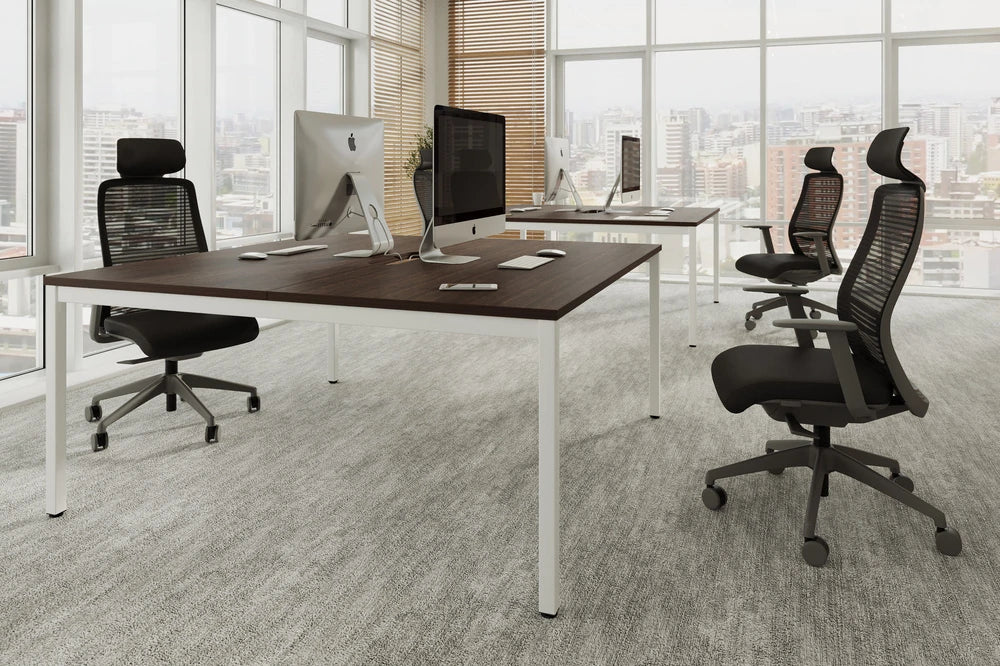 C Sense Desk 13