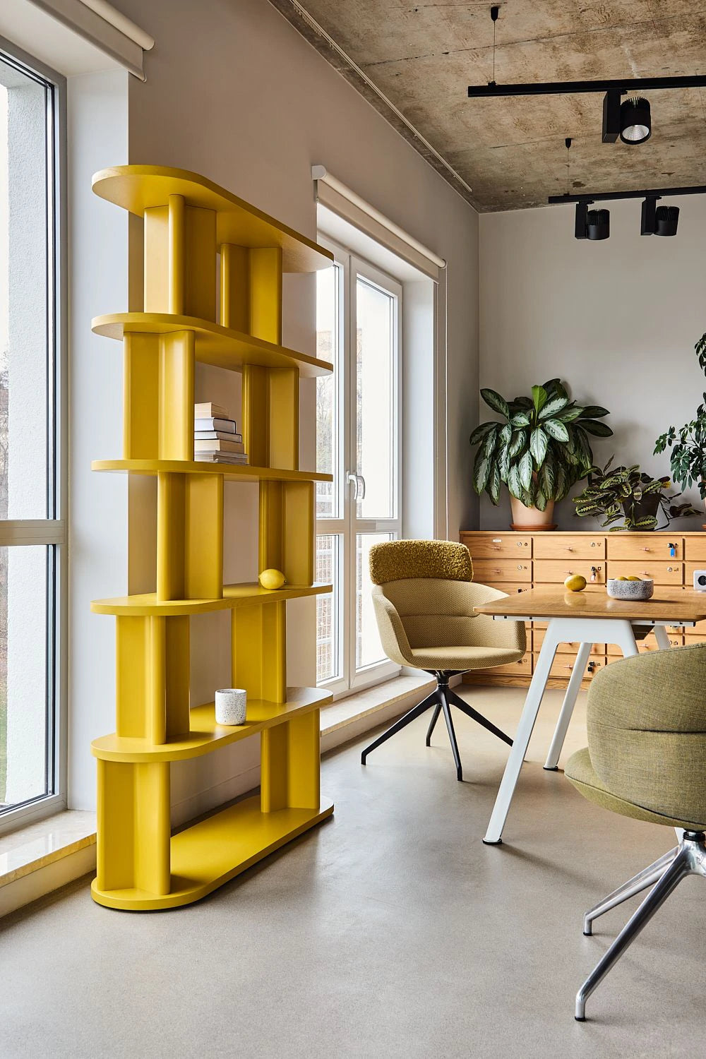 Cactus Nature-Inspired Rectangular Bookcase