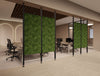 Decora Modular Glass Board in Green Finish with Jersey Ergonomic Task Chair with Key Meeting Table in Modern Office Setting
