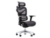Dorsum Executive Ergonomic Full Mesh Office Chair With Headrest In Black