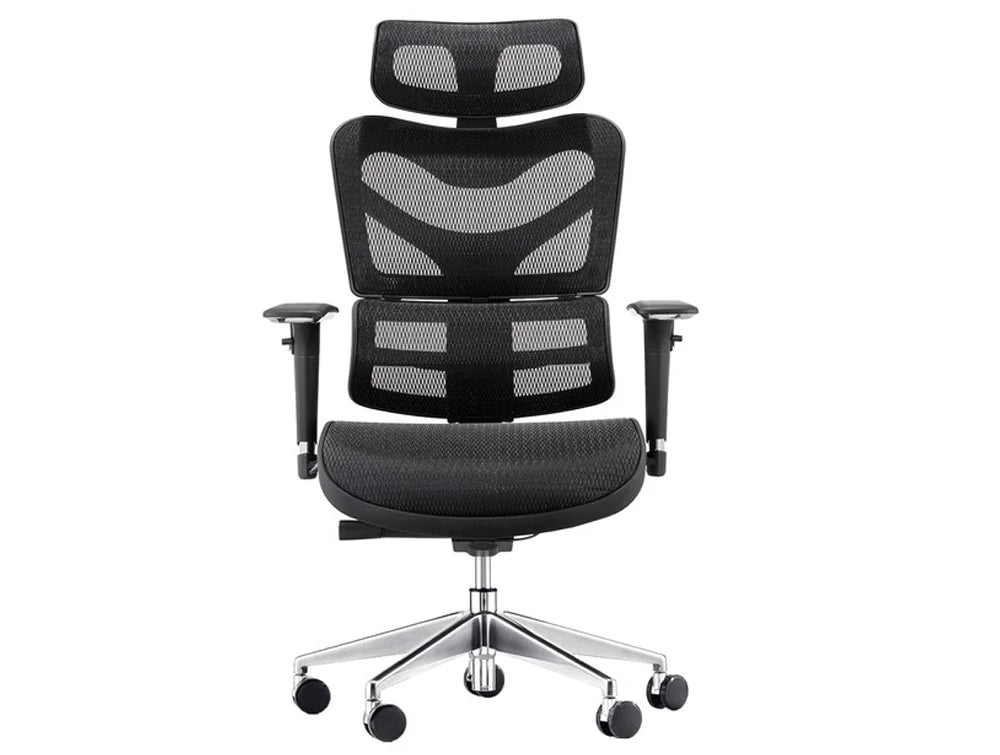 Dorsum Executive Ergonomic High Back Mesh Office Chair With Large Headrest