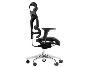 Dorsum Lumbar Support Chair Ergonomic Full Mesh Executive Chair