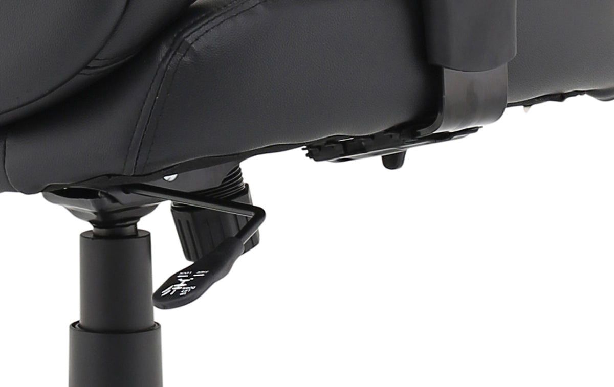 Winsor Black Leather Chair No Headrest Image 8