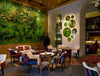 Green Mood Green Walls Forest In Passage Corner Seating Area