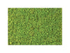 Green Mood Green Walls Lichen Moss Close View