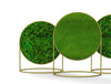 Green Mood Moss Acoustic Circular Free Standing Screen With Brass Frame And Lichen And Ball Moss Filling
