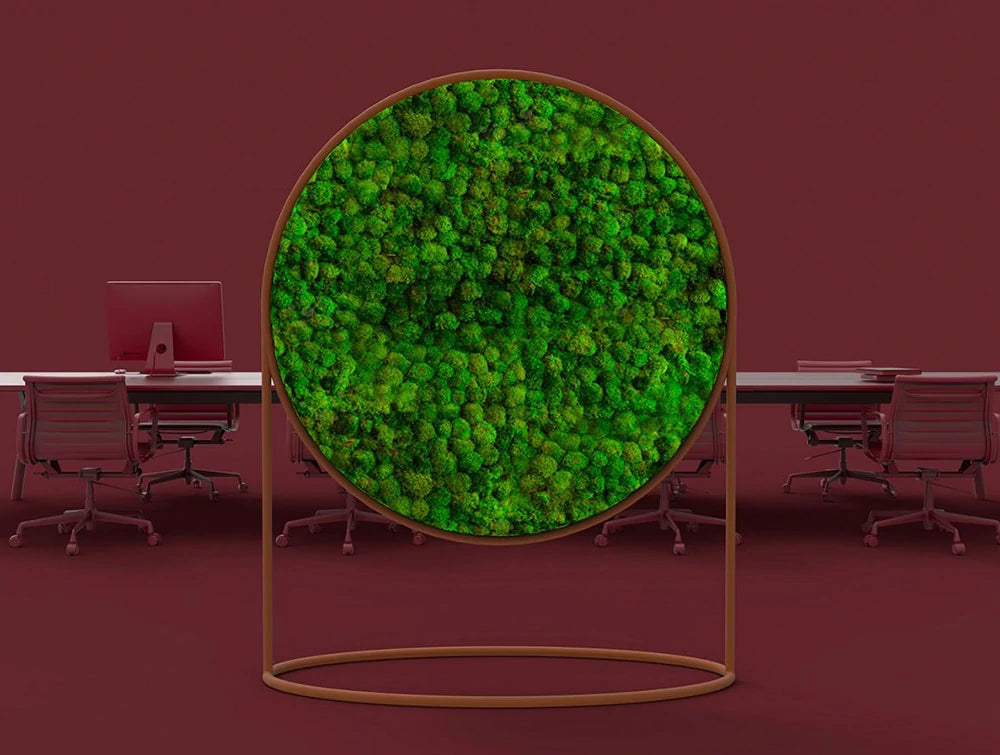 Green Mood Moss Acoustic Circular Free Standing Screen With Corten Frame And Ball Moss Filling With Maroon Background