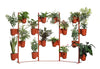 Gufo Decorative Planters 4