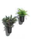 Gufo Decorative Planters 6