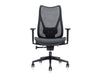High-Back Task Chair with Adjustable Lumbar Support and Knee Tilt Mechanism 2