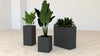 Koala Square Acoustic Planter in Dark Grey Finish in Different Sizes with Plants
