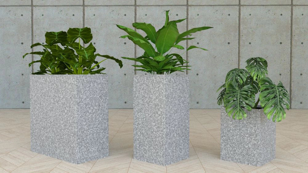 Koala Square Acoustic Planter in Grey Finish in Different Sizes with Plants