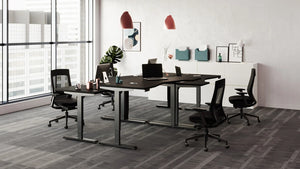 Leap 3 Stage Double Bench Frame 3