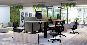 Levo Plus Desks With Black Jersey Chair