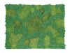 Lombock Acoustic Moss and Nordic Lichen Frame