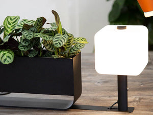 Mallet Light 3