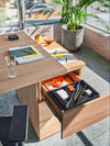 Mito Executive Wooden Desk with Indoor Plant in Modern Office Setting