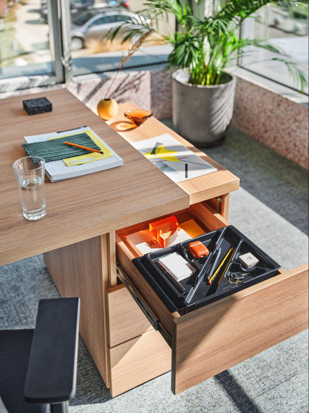 Mito Executive Wooden Desk with Indoor Plant in Modern Office Setting