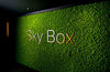 Moss Acoustic Wall Panel in Green Finish in Lounge Setting
