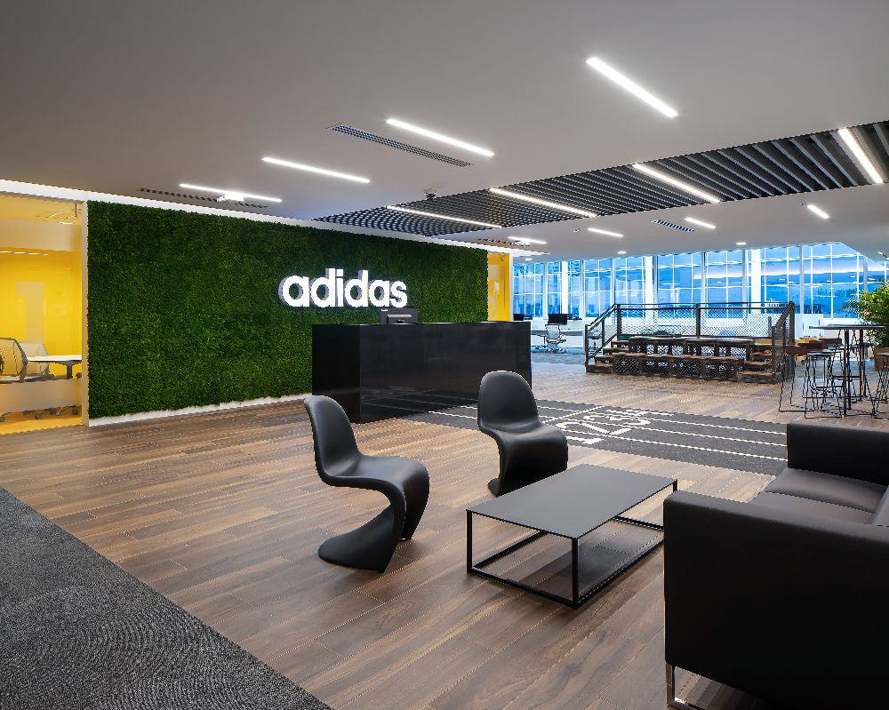 Moss Acoustic Wall Panel in Green Finish with Reception Desk and Sofa in Reception Setting