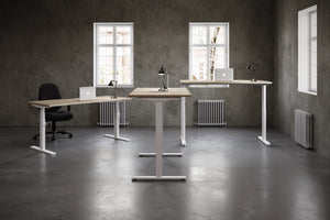 RoundE Bamboo Sit Stand Desks