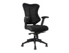 Spine Delux Spine Task Chair In Black