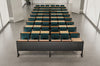 Simpson Auditorium Seating with Indoor Plant in Wide Space Setting