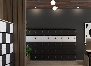 Uno Locker in Two Toned Finish with Acoustic Ceiling Light and Wooden Planter Top in Office Setting