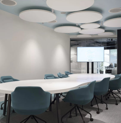 Acoustic Celing Lighting in Meeting Room